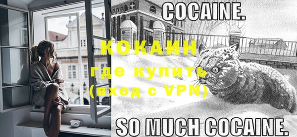 стафф Бородино