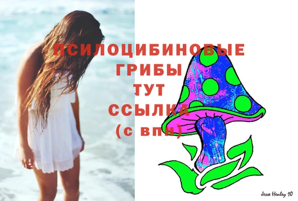 а пвп мука Верея